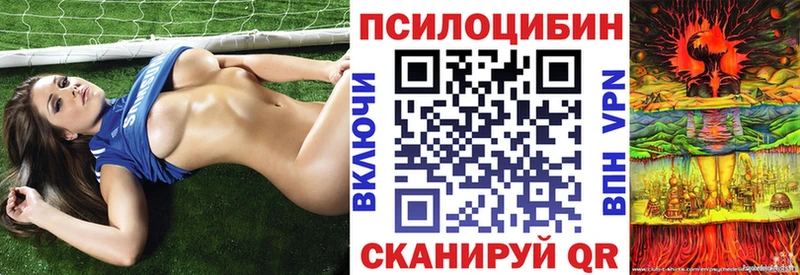 где купить наркоту  Покровск  Псилоцибиновые грибы GOLDEN TEACHER 